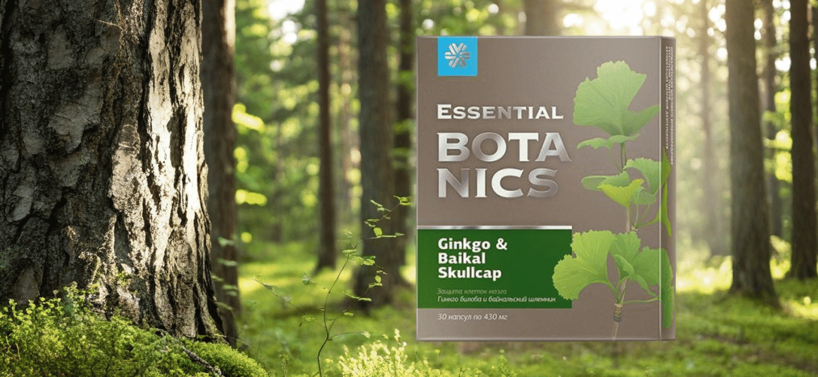 kako da oslobodite mentalnu energiju prirodni recepti za jasnije misli i bolju koncentraciju